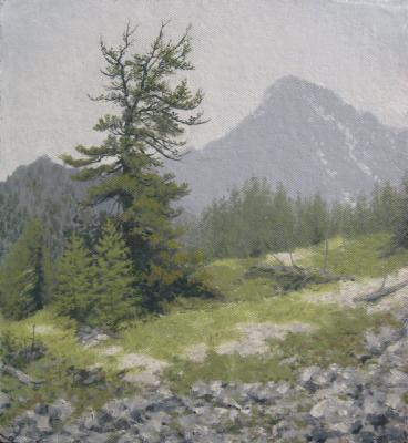 ������� ��������� �� ��������