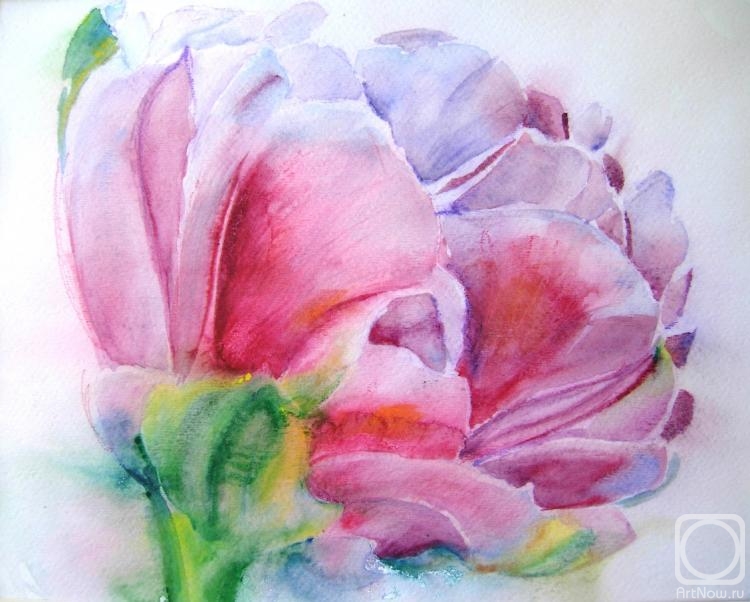 Ostraya Elena. Untitled