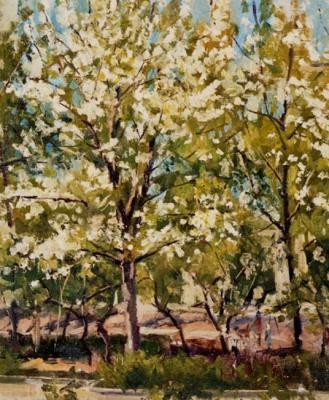 ������� ������� � �����