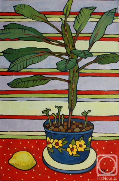 ������� ������ �� ������. ��������� ����. ��������� � �������