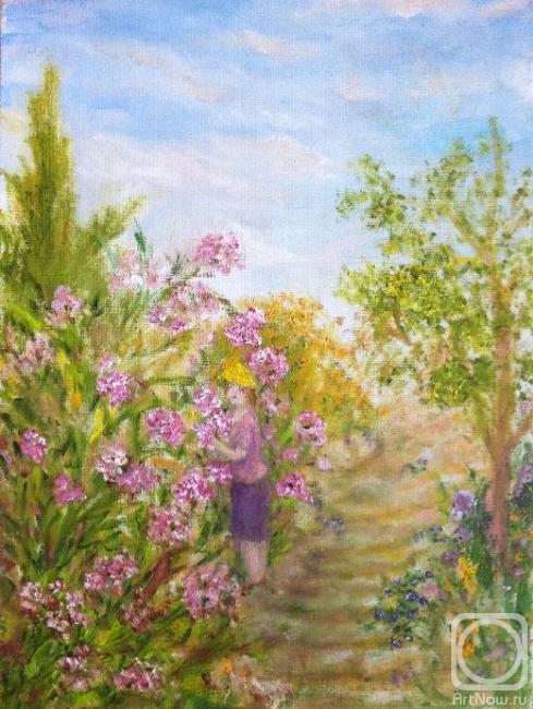 ������� ������ �� ������. ������ ����. �������� ������