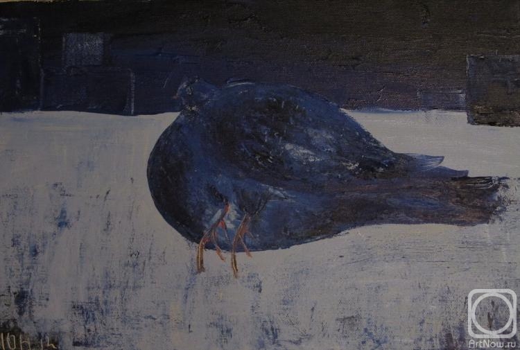 Shitova Yulia. Untitled