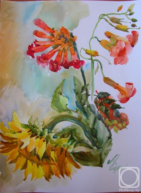 �������. �������� ��������. ����