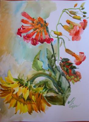 ������� �����