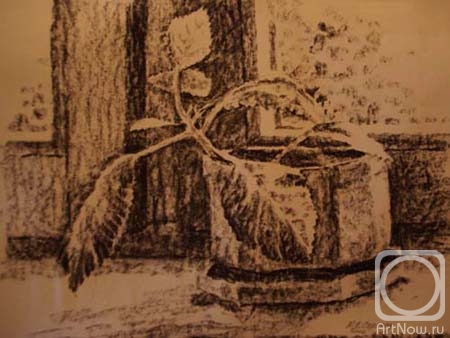 �������. ������� ����. ������ �� ����