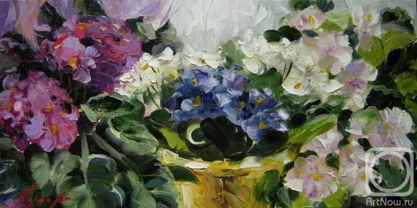 ������� ������ �� ������. ������ �������. ������ ��������