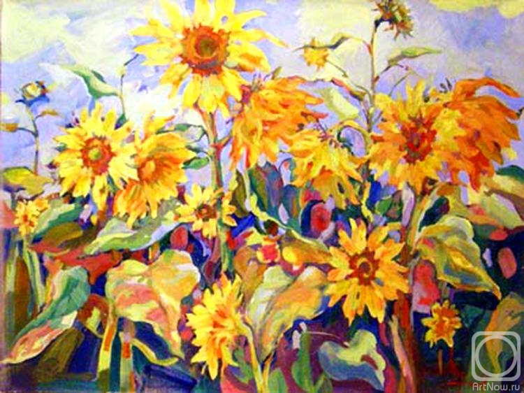 Mirgorod Igor. Field of sunflowers. Heat
