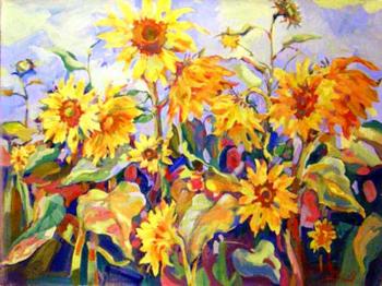 Field of sunflowers. Heat. Mirgorod Igor