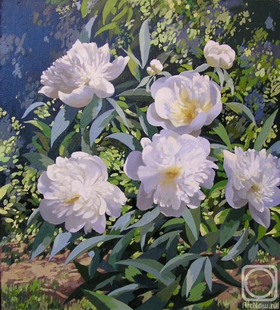 ������� ������ �� ������. ������� ����. �����