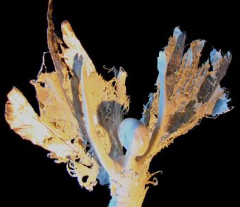 �����. ��������