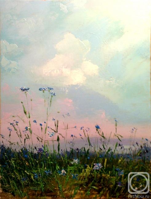 Stolyarov Vadim. Cornflower-blue field