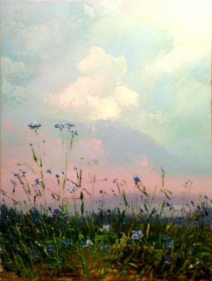 Cornflower-blue field