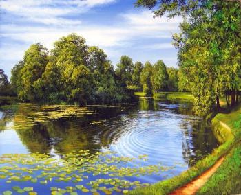 ������� �244 ��������