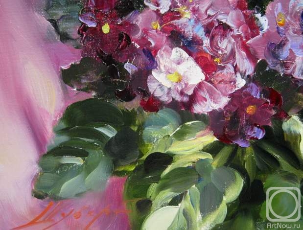 ������� ������ �� ������. ������ �������. ������ ��������