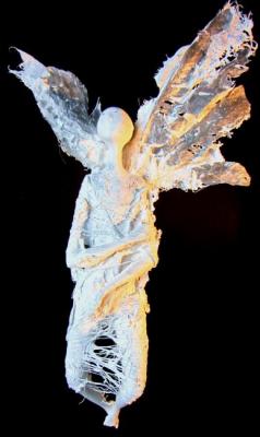 �����. ��������. ������� ����