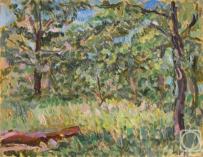 �������. ������ ����. ���� ����������-�������