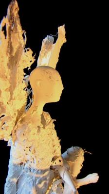 �����. ��������. ������� ����