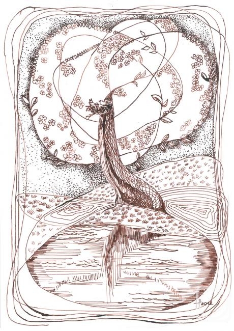 �������. �������� ����. �����