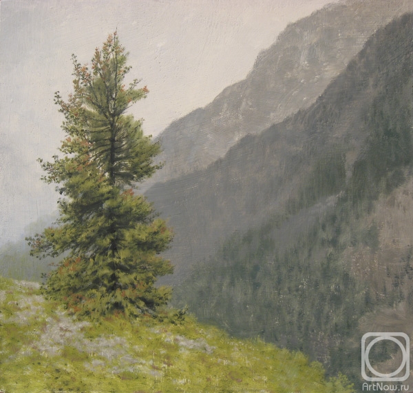 �������. ������� �������. 25�27