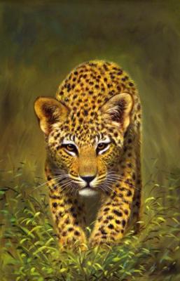 Leopard. Bruno Augusto