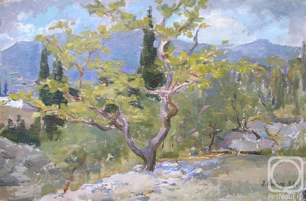 �������. ���� ������. ������ � �����