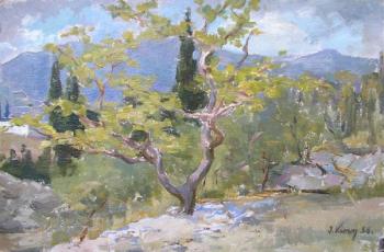 ������ � �����. ���� ������