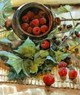 Raspberry and currant. Andrianov Andrey