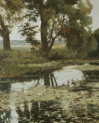Overgrown pond. Aleksandrov Vladimir