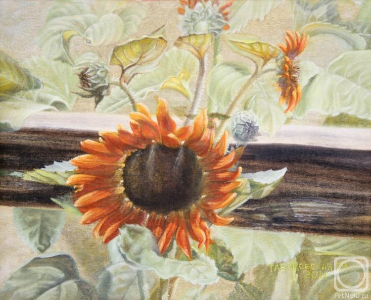 Kudryashov Galina. Sunflower