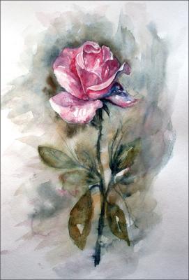 ������� �����������!�