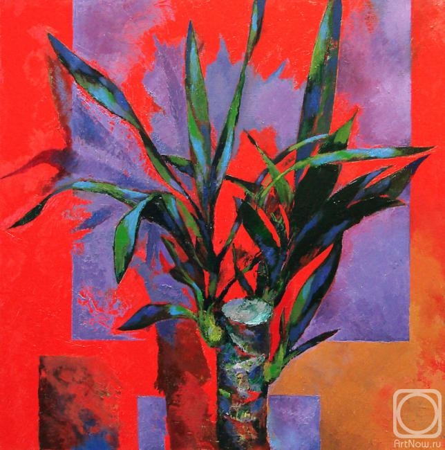 ������� ������ �� ������. ������� ���������. ����