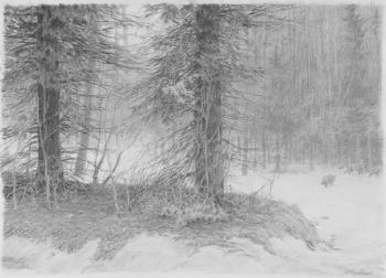 The wolfes. Kushevsky Yury