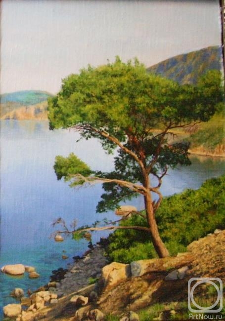 ������� ������ �� ������. ������� ���������. Ҹ���� �����