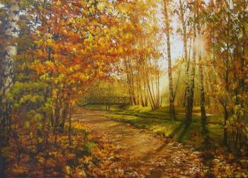 ������� �248 ���� �������� ����