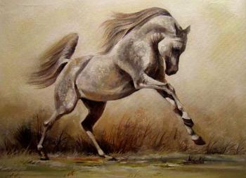 horse. Gerasimov Vladimir