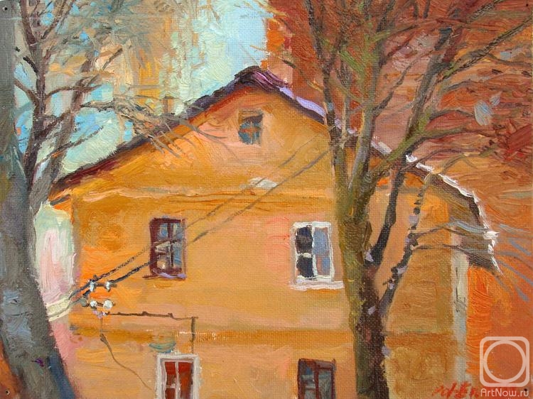 Roshina-Iegorova Oksana. The orange house