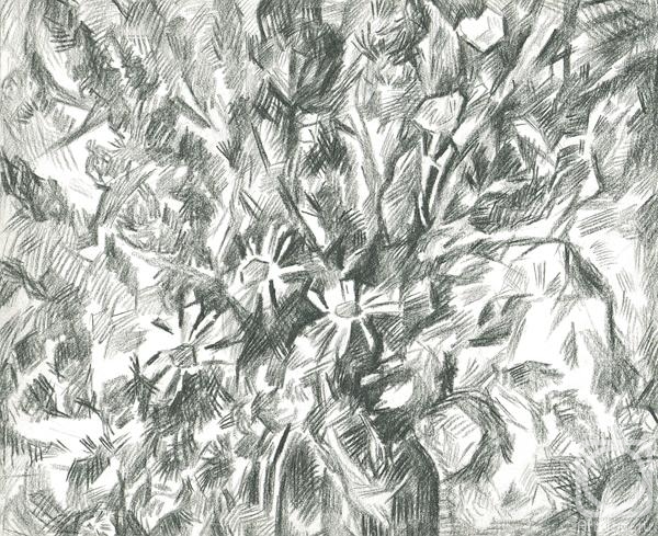 �������. �������� �����. �����