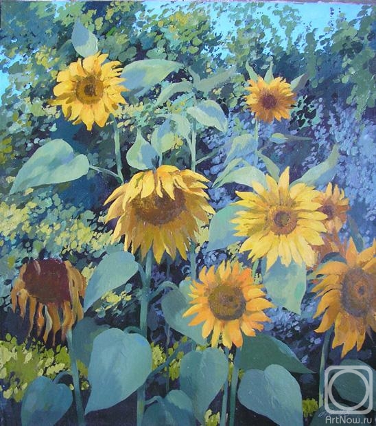 Paikule Arija. Sunflowers