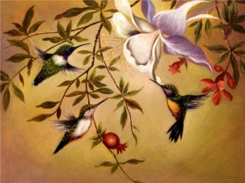 Humming-birds. Bruno Augusto