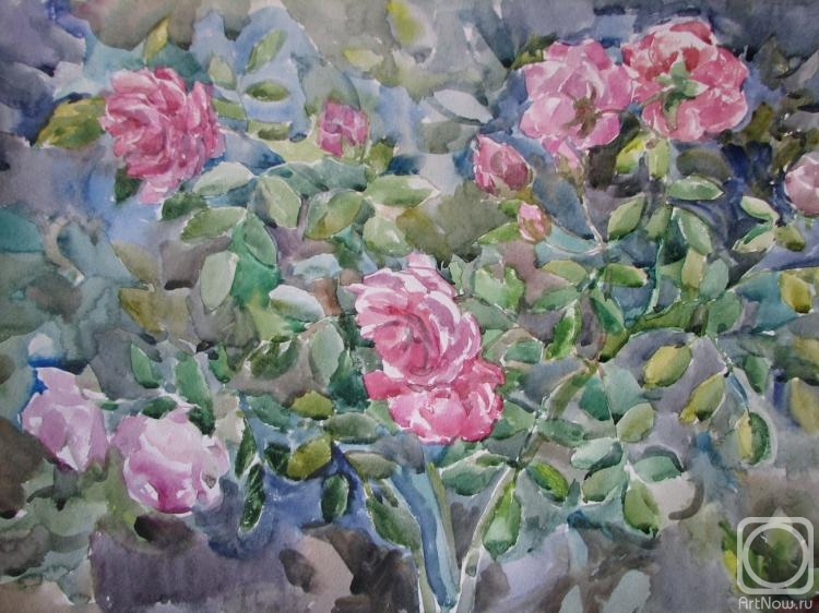 Kruppa Natalia. Garden rose bush