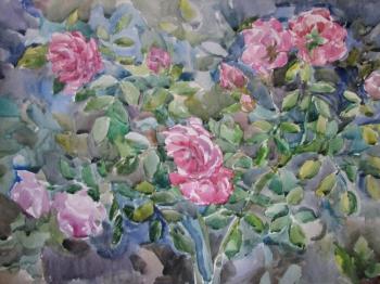 Garden rose bush. Kruppa Natalia