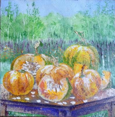 Pumpkins in the country. Naddachin Sergey