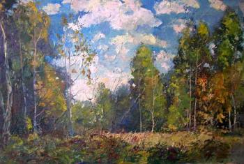 Forest. Kosino 4. Gerasimov Vladimir