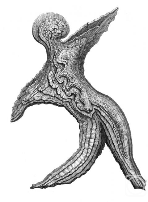 �������. ��������� ���������. ������ ���