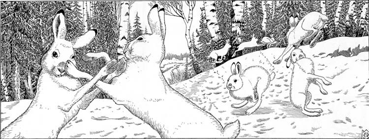 �������. ����� �������. ������ �������