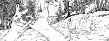 ������� ������� ��������