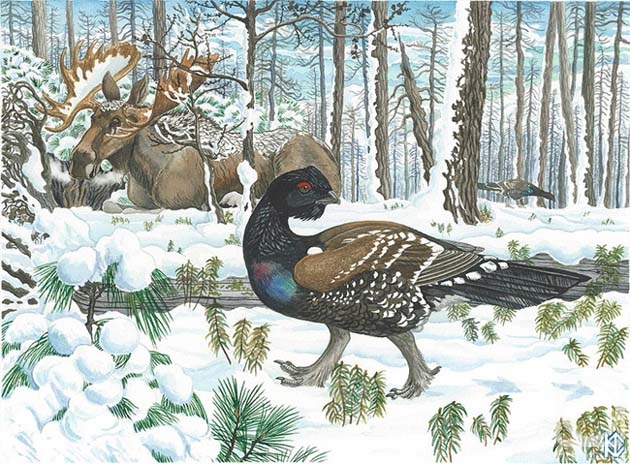 �������. ����� �������. �������� �������