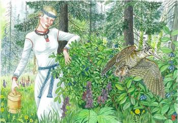 ��������� (����� "����� ����� �����") (����). ����� �������