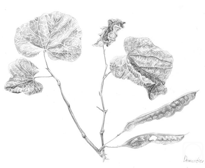 Dementiev Alexandr. Pods and leaves
