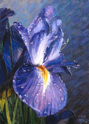 ������� �����